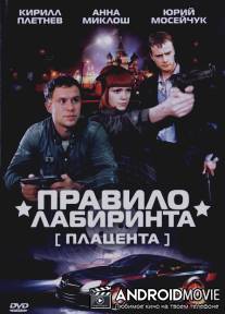 Правило лабиринта: Плацента / Pravilo labirinta: Platsenta