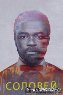 Соловей / Nightingale