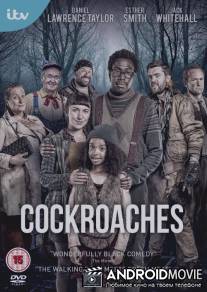 Тараканы / Cockroaches
