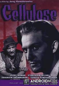 Целлюлоза / Celuloza