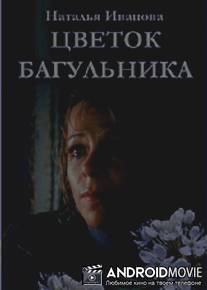 Цветок багульника / Tsvetok bagulnika