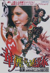 Великолепная погоня / Karei-naru tsuiseki