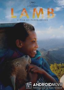 Ягнёнок / Lamb