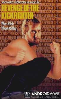 Задание - уничтожить / Return of the Kickfighter