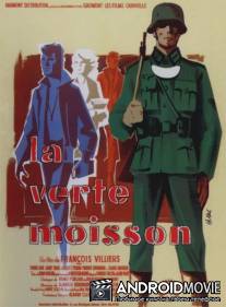 Зелёная жатва / La verte moisson