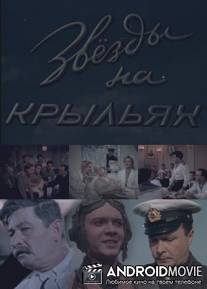 Звезды на крыльях