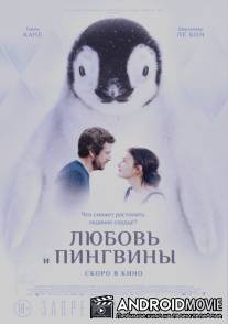 Любовь и пингвины / Le secret des banquises