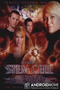 Stem Cell