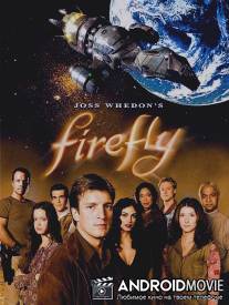 Светлячок / Firefly