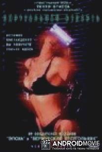 Виртуальная страсть / Virtual Girl 2: Virtual Vegas