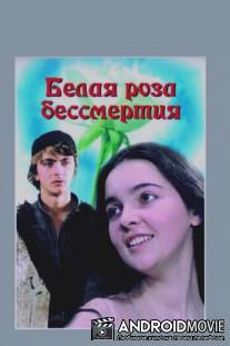 Белая роза бессмертия / Ukvdavebis tetri vardi