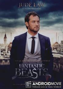 Фантастические твари: Преступления Грин-де-Вальда / Fantastic Beasts: The Crimes of Grindelwald
