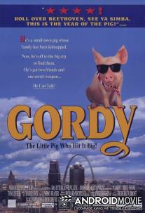Горди / Gordy