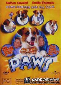 Лапы / Paws
