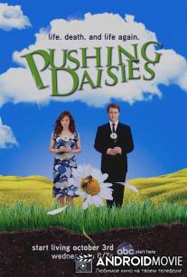 Мертвые до востребования / Pushing Daisies