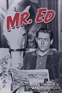 Мистер Эд / Mister Ed