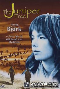 Можжевеловое дерево / Juniper Tree, The