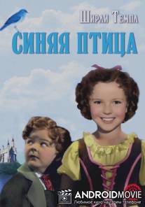 Синяя птица / Blue Bird, The