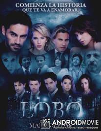 Волк / Lobo