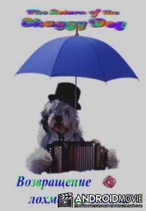 Возвращение лохматой собаки / Return of the Shaggy Dog, The