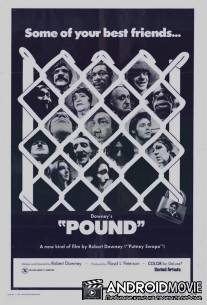 Загон / Pound