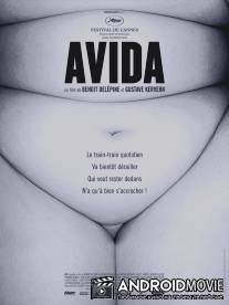 Авида / Avida