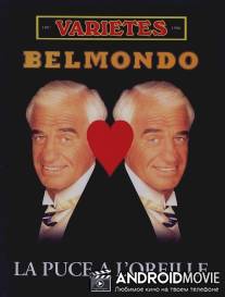 Блоха в ухе / La puce a l'oreille