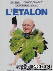 Большая случка / L'etalon