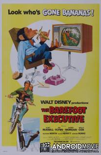Босой руководитель / Barefoot Executive, The