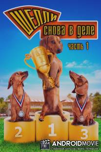 Чемпионат страны среди такс / Wiener Dog Nationals