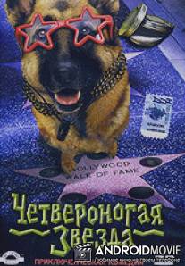 Четвероногая звезда / Il destino ha 4 zampe