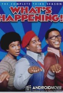 Что творится!! / What's Happening!!