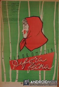 Девичья весна / Devichya vesna