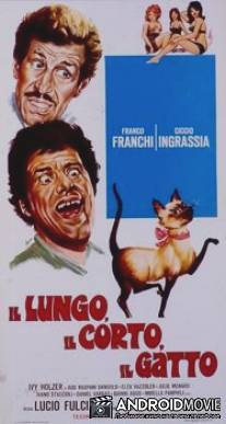 Длинный короткий кот / Il lungo, il corto, il gatto