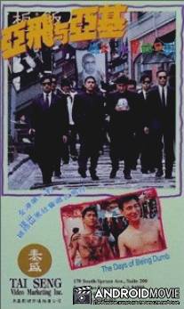 Дни глупости / Ya Fei yu Ya Ji