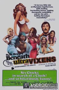 Долина ультрамегер / Beneath the Valley of the Ultra-Vixens