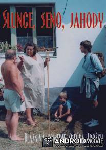 Экспериментатор / Slunce, seno, jahody