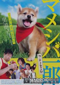 Ичиро и Сиба Дзиро / Mameshiba Ichiro futen no shibajiro