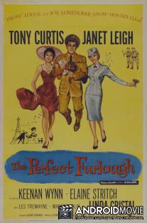 Идеальный отпуск / Perfect Furlough, The