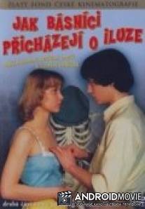 Как поэты теряют иллюзии / Jak basnici prichazeji o iluze