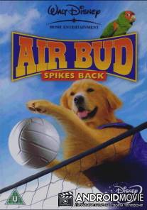 Король воздуха: Возвращение / Air Bud: Spikes Back
