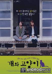 Кошка убежала из дома / Inuneko