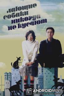 Лающие собаки никогда не кусают / Flandersui gae