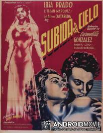 Лестница в небо / Subida al cielo