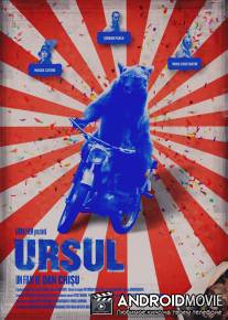 Медведь / Ursul