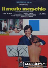 Обнажённая виолончель / Il merlo maschio