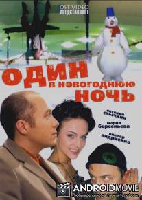 Один в новогоднюю ночь / Odin v novogodnuyu noch