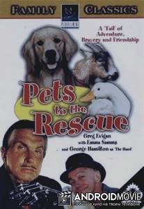 Одни дома / Pets