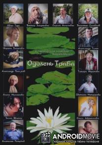 Одолень-трава / Odolen-trava