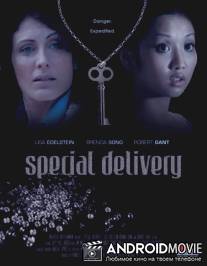 Особый груз / Special Delivery